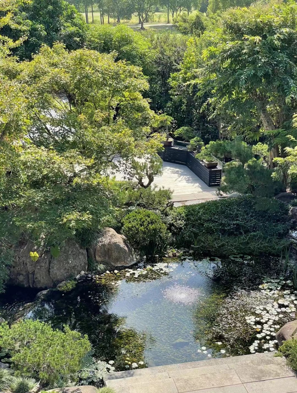 富格院子的植物与池塘